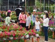 Làng hoa Sa Đéc đông khách những ngày cận Tết