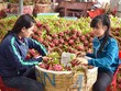 Các mặt hàng rau quả của Việt Nam phụ thuộc quá nhiều vào thị trường Trung Quốc