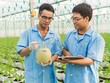 NSC đang là một trong những doanh nghiệp tốt nhất trên sàn chứng khoán Việt Nam.