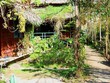 5 homestay cho mùa hè đi biển ở Bà Rịa - Vũng Tàu