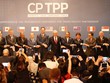 Singapore đã trở thành quốc gia thứ 3 phê chuẩn CPTPP.
