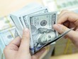 Tỷ giá USD đang có xu hướng nhích nhẹ.