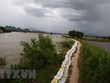 Đoạn đê tả sông Bùi được gia cố bao cát. Ảnh: TTXVN.