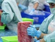 Tìm động lực tăng trưởng của nền kinh tế: Điểm danh nguồn lực bị kìm nén