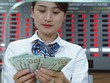 Tỷ giá tăng, nhiều doanh nghiệp chưa chắc bị thiệt