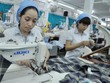 Sản xuất áo sơ mi tại một doanh nghiệp may xuất khẩu.