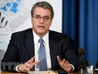 Tổng Giám đốc WTO Roberto Azevedo. (Nguồn: AFP/TTXVN).