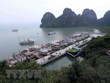 Tàu neo đậu trên vịnh Hạ Long. (Ảnh: Quang Quyết/TTXVN).