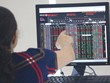 Cơ hội đầu tư sắp xuất hiện