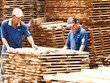 Công nghiệp Cao su Việt Nam (GVR): Lợi nhuận quý III giảm mạnh