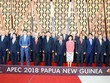 Lễ đón các nhà lãnh đạo APEC dự hội nghị cấp cao lần thứ 26.