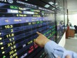 Hàng trăm cổ phiếu “treo” giá trên sàn