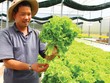 EU là cánh cửa đưa nông sản Việt vươn ra thị trường toàn cầu.