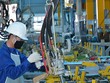 Kinh tế Việt Nam đã đạt tốc độ tăng trưởng cao trong năm 2017 và 2018.
