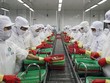 Thủy sản Việt Nam là một trong những ngành được dự báo sẽ đẩy mạnh xuất khẩu sang các nước khác trong CPTPP.