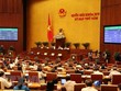 Quốc hội biểu quyết thông qua Luật An ninh mạng. (Ảnh: Dương Giang/TTXVN).