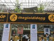Thế giới Di động  “dàn trận” kinh doanh 2019