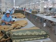 Everpia (EVE) đặt mục tiêu lãi 100 tỷ đồng