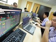 Nhà đầu tư lớn âm thầm đi ngược đám đông