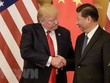Tổng thống Mỹ Donald Trump (trái) và Chủ tịch Trung Quốc Tập Cận Bình trong cuộc gặp tại Bắc Kinh ngày 9/11/2017. (Ảnh: AFP/TTXVN).