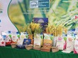 Lộc Trời chậm chuyển sàn vì khó khăn trong kinh doanh