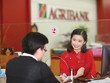 Doanh nghiệp nghìn tỷ có gì trong tay trước cổ phần hóa, thoái vốn?