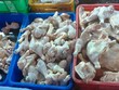 Thịt gà nhập khẩu từ Mỹ, Hàn, Brazil đổ bổ mạnh vào Việt Nam, áp lực cạnh tranh rất lớn cho các hộ, doanh nghiệp chăn nuôi gà công nghiệp.