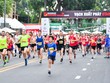 Giải marathon quốc tế TP.HCM Techcombank 2019 “Một cung đường xanh, một thành phố xanh“