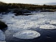 Hy hữu: Dòng sông bị phủ kín bởi “đĩa băng” ở Scotland