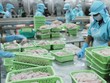 Doanh nghiệp thủy sản tìm “vận đỏ” 2020