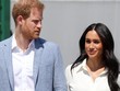 Hoàng tử Harry và Công nương Meghan. Ảnh: Getty.