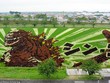 Ngắm triển lãm tranh nghệ thuật quái vật Godzilla, người đẹp Marilyn Monroe... trên ruộng lúa tại Nhật Bản