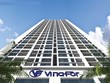 Năm 2020, Vinafor đặt kế hoạch lợi nhuận giảm