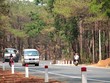 Một đoạn Quốc lộ 19 đoạn qua huyện Mangyang, Gia Lai.