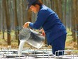 Cao su thiên nhiên tránh được cao điểm dịch: “May hơn khôn”!