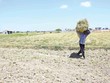 Hạn hán tạo cơ hội cho doanh nghiệp điện chuyển mình