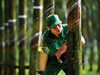 Doanh nghiệp cao su trông đợi vào… lợi nhuận khác
