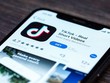 TikTok bị iOS 14 "bắt quả tang" thu thập dữ liệu người dùng. (Ảnh: 9to5mac).
