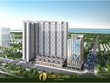 Cư dân CITIGRAND được thụ hưởng môi trường sống trong lành, xanh mát với mật độ cây xanh cao gấp 9 lần nội thành, liền kề công viên trung tâm 4 ha.