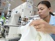 Hai quý cuối năm mới là thời điểm thách thức thực sự đối với các doanh nghiệp dệt may.