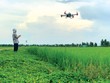 Ứng dụng công nghệ cao vào sản xuất nông nghiệp giúp gia tăng giá trị nông sản