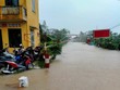 Đường ray đoạn qua một số tỉnh miền Trung bị ngập nước do mưa lũ lớn nên không thể tổ chức chạy tàu. (Ảnh: Facebook Câu lạc bộ đam mê Đường sắt).
