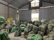 Lực lượng Quản lý thị trường tỉnh Quảng Ninh kiểm tra hàng hóa có dấu hiệu nhập lậu trên địa bàn. (Ảnh: Vietnam+).
