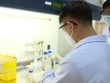 Xét nghiệm Real Time-PCR. (Ảnh: Lê Xuân/TTXVN).
