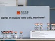 Các lọ vaccine ngừa COVID-19 của Sinovac Biotech. (Ảnh: AFP/TTXVN).
