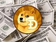 Giá Bitcoin hôm nay ngày 5/5: Bất chấp sự đi xuống của Bitcoin, đồng Dogecoin trở thành biểu tượng phát triển của các đồng altcoin