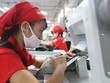 Theo dự báo của Vitas, giá trị xuất khẩu năm 2021 của các doanh nghiệp dệt may có thể đạt 39 tỷ USD.