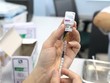 Vaccine Astra Zeneca. (Ảnh: Thành Đạt/TTXVN).