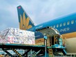 Để có nguồn thu, các tàu thân rộng của Vietnam Airlines đều được tháo ghế để chở hàng.