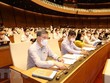 Đại biểu Quốc hội biểu quyết thông qua Nghị quyết về cơ cấu tổ chức của Chính phủ nhiệm kỳ 2021-2026. (Ảnh: Phương Hoa/TTXVN).